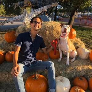 Meet your Posher, Leonardo